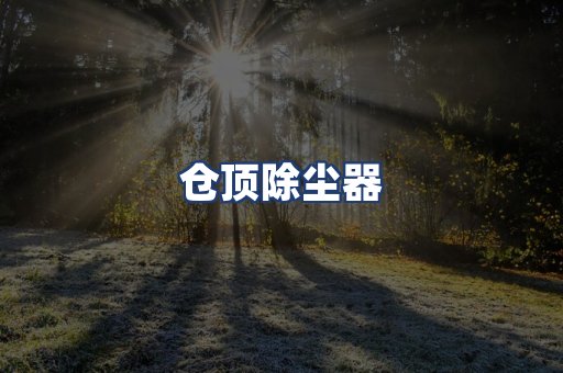 仓顶除尘器