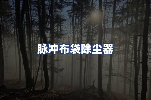 脉冲布袋除尘器